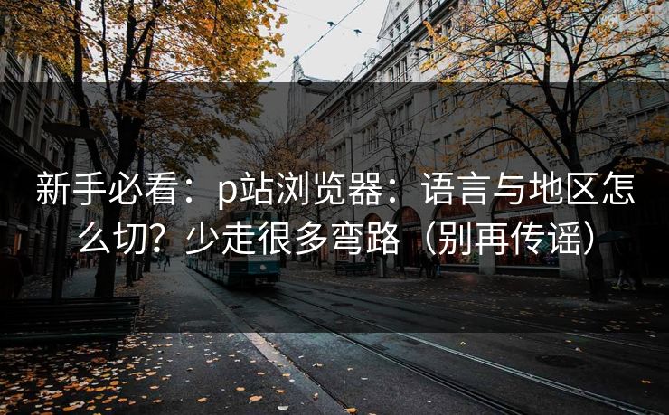 新手必看：p站浏览器：语言与地区怎么切？少走很多弯路（别再传谣）