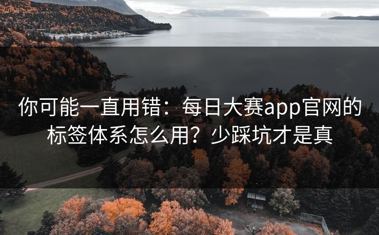 你可能一直用错：每日大赛app官网的标签体系怎么用？少踩坑才是真