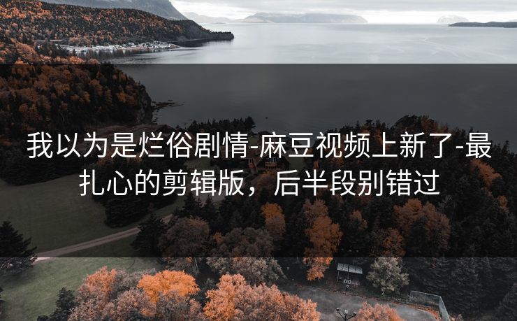 我以为是烂俗剧情-麻豆视频上新了-最扎心的剪辑版，后半段别错过