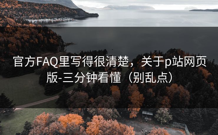 官方FAQ里写得很清楚，关于p站网页版-三分钟看懂（别乱点）
