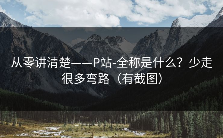 从零讲清楚——P站-全称是什么?少走很多弯路(有截图) 从零讲清楚——P站-全称是什么?少走很多弯路(有截图)
