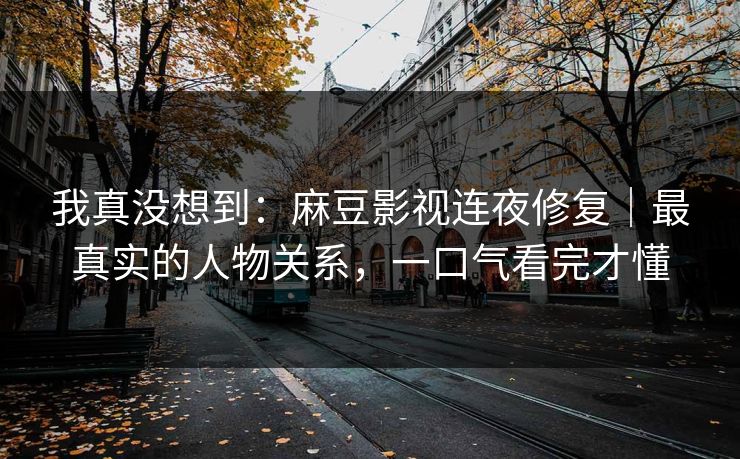 我真没想到:麻豆影视连夜修复|最真实的人物关系,一口气看完才懂 我真没想到:麻豆影视连夜修复|最真实的人物关系,一口气看完才懂